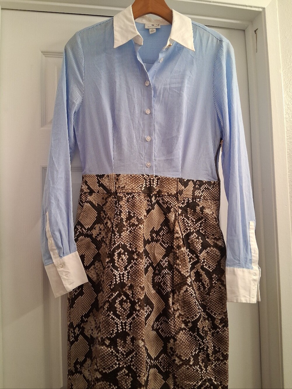 Altuzarra Snake Print And Blue And White Collared Dress Size 4